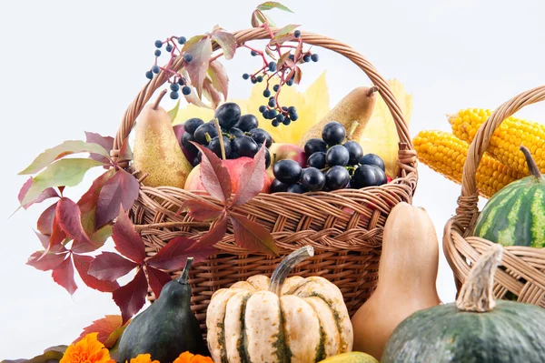 Autumn and Thanksgiving concept. — Stock Photo, Image