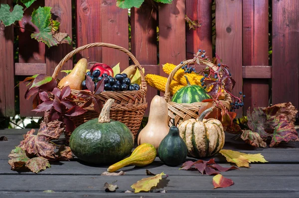Autumn and Thanksgiving concept. — Stock Photo, Image