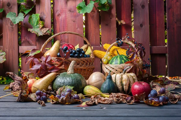 Autumn and Thanksgiving concept. — Stock Photo, Image