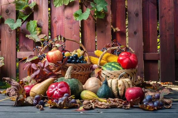 Autumn and Thanksgiving concept. — Stock Photo, Image