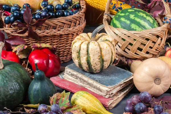 Herfst en Thanksgiving concept. — Stockfoto