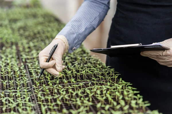 Biotechnology woman engineer with a clipboard and pen examining a plant for disease! Rechtenvrije Stockafbeeldingen