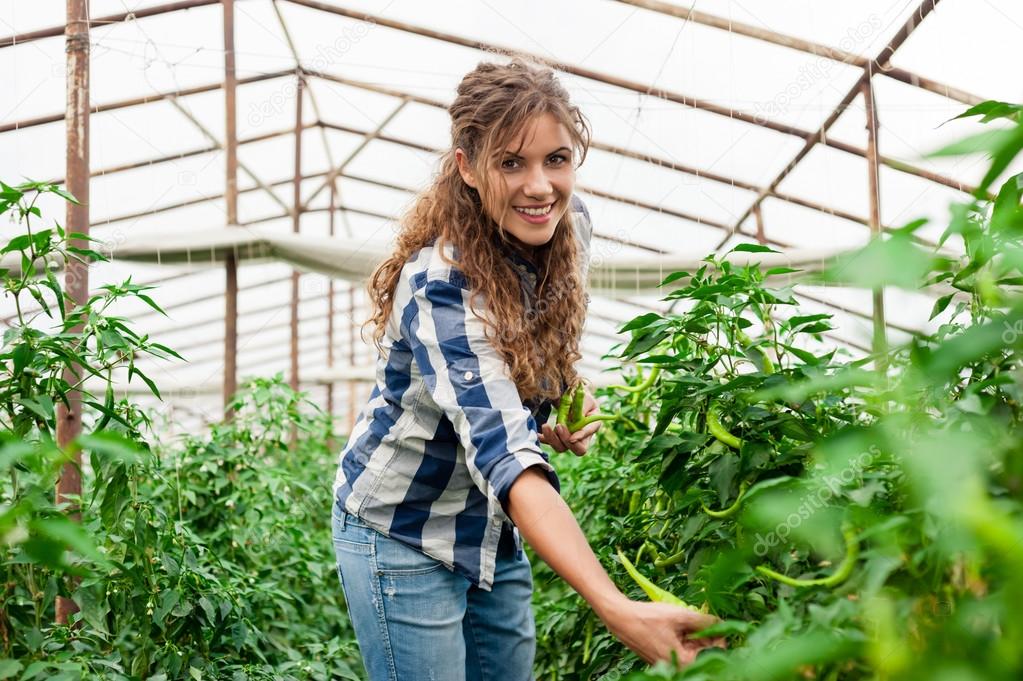 Greenhouse produce. Food production.