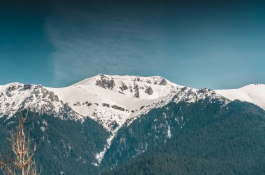 Mavi gökyüzü arka plan ile güzel Karpat Dağları