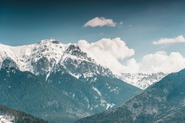 Mavi gökyüzü arka plan ile güzel Karpat Dağları