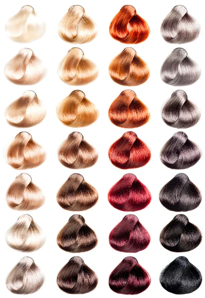 Hair Palette samples of different colors. Tints set for beauty industry.