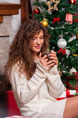 Christmas winter spirit