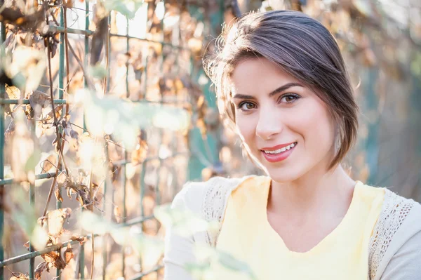 Sonbahar sezonu güzel ışık