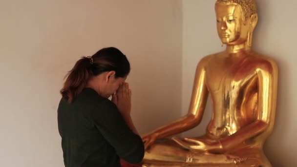 Mulher Asiática Orando Com Buda Templo Wat Pho Bangkok Tailândia — Vídeo de Stock