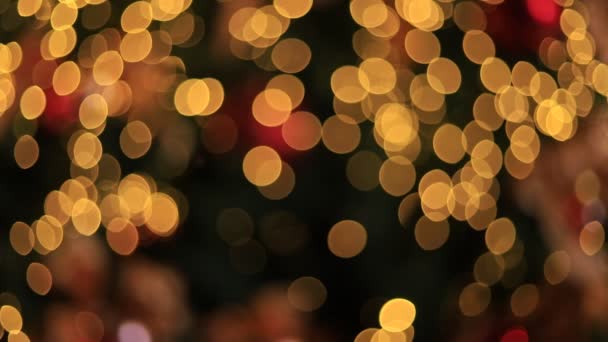Christmas Bokeh Light Stract Christmas Background Patterial — 비디오