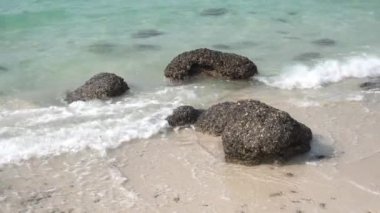 Beyaz kumsalda el salla.