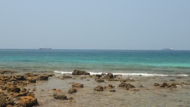 Time Lapse Sea Rock Beach — Stock Video