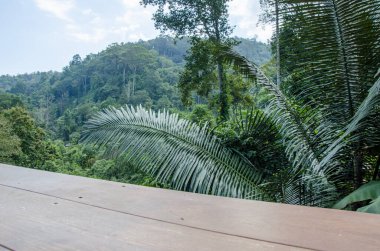 Orman zeminli, kahverengi ve grunge ahşap masa paneli