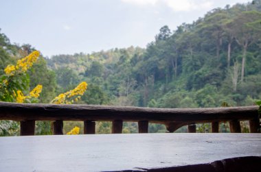 Orman zeminli, kahverengi ve grunge ahşap masa paneli