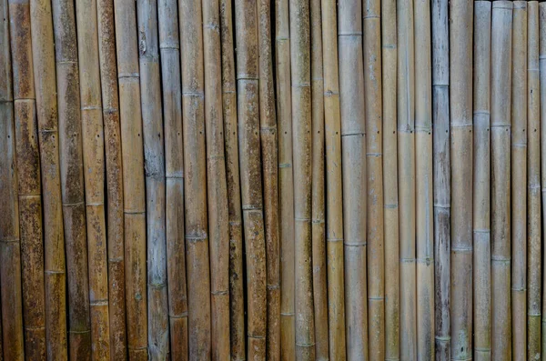 Bambú Como Fondo Del Patrón Pared — Foto de Stock