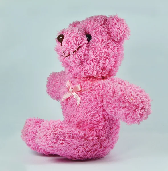 Pink teddy bear — Stock Photo, Image
