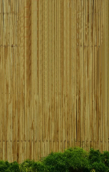 Dry bamboo texture — Stock Photo, Image