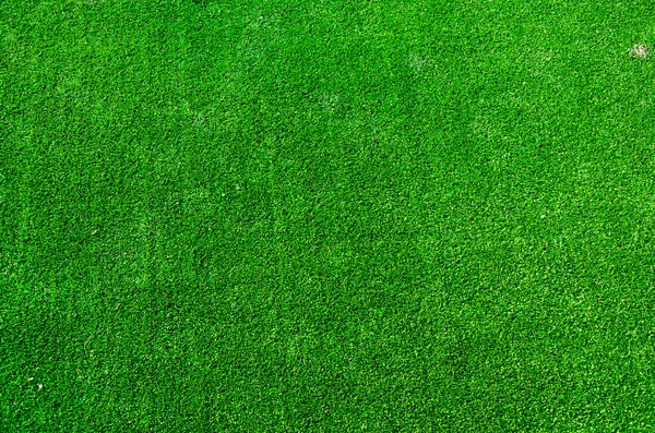 Groen gras textuur achtergrond — Stockfoto