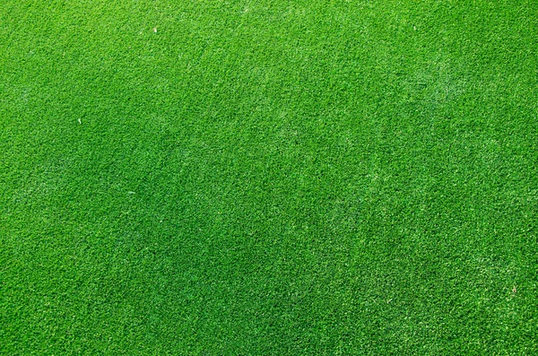 Hierba verde textura fondo — Foto de Stock
