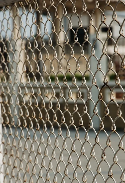 Need freedom from jail and bluesky background — Stock Photo, Image