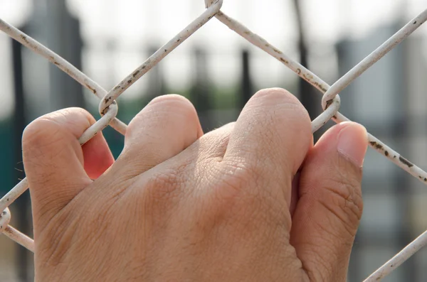 Need freedom from jail and bluesky background — Stock Photo, Image