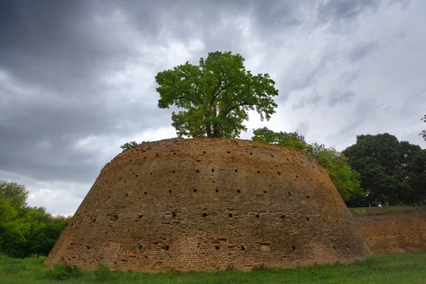 Histórica ciudad medieval de Ferrara en Italia Muro —  Fotos de Stock