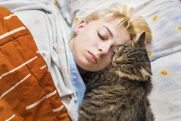 여자는 고양이 함께 침대에서 자 고 스톡 사진