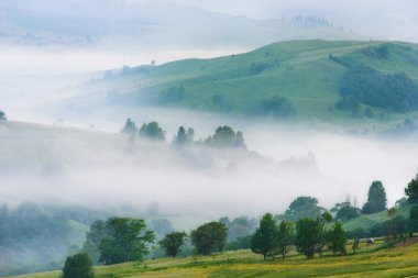sabah sis ağaçların arasında dağlarda