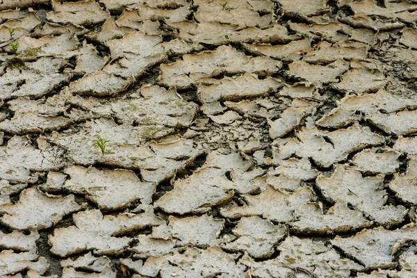 Terra seca ao ar livre — Fotografia de Stock