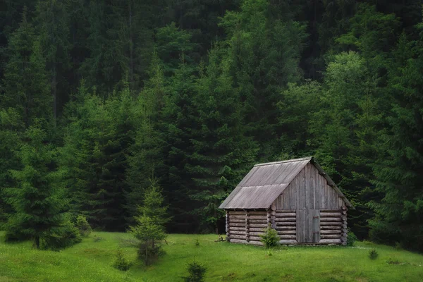 Cabaña de madera solitaria en un claro en el bosque —  Fotos de Stock
