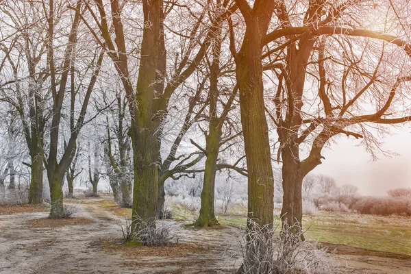 První frost cestování — Stock fotografie