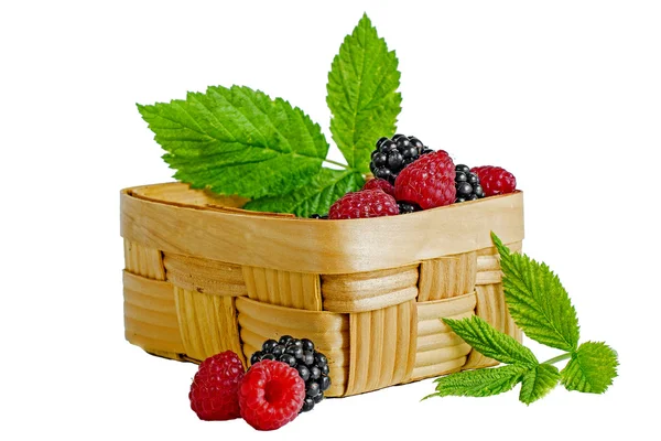 Raspberries blackberries in a wooden basket on a white backgroun — Stock Photo, Image