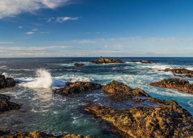 Kaliforniya 'daki Big Sur Pasifik Okyanusu kıyısı.
