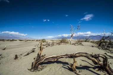 Ölüm Vadisi Ulusal Parkı, Kaliforniya