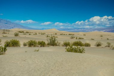 Ölüm Vadisi Ulusal Parkı, Kaliforniya