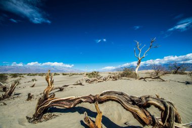 Ölüm Vadisi Ulusal Parkı, Kaliforniya