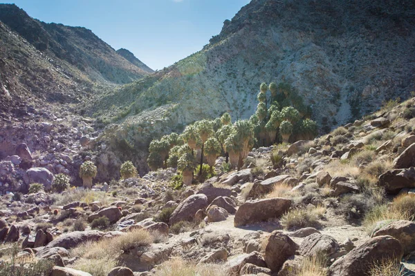 Vackert Bergslandskap Med Blå Himmel Och Palmer Coachella Ccalifornia Nära — Stockfoto