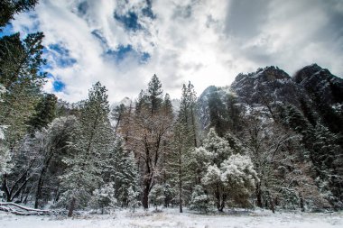 Yosemite Vadisi Kış mevsiminde Manzara, Yosemite Ulusal Parkı, Kaliforniya.