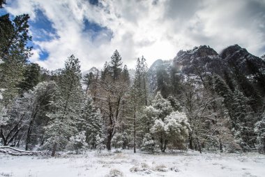 Yosemite Vadisi Kış mevsiminde Manzara, Yosemite Ulusal Parkı, Kaliforniya.