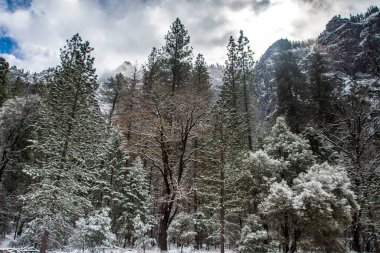 Yosemite Vadisi Kış mevsiminde Manzara, Yosemite Ulusal Parkı, Kaliforniya.