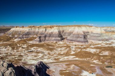 Arizona çölündeki taşlaşmış orman milli parkı