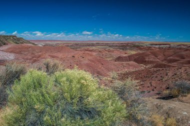 Arizona çölündeki taşlaşmış orman milli parkı