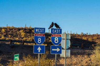 Arizona-Sonora Çölü 'ndeki trafik işaretleri..
