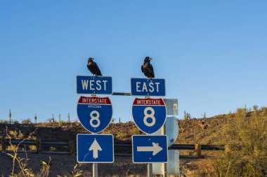 Arizona-Sonora Çölü 'ndeki trafik işaretleri..