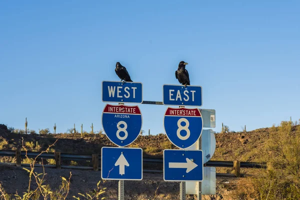 Sonora Arizona Die Verkehrsschilder Der Wüste Arizona Sonora — Stockfoto