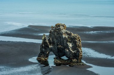 Hvitserkur, taşlaşmış hayvan şeklinde dev bir kaya, Hunafloi Körfezi, İzlanda