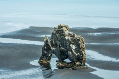 Hvitserkur, taşlaşmış hayvan şeklinde dev bir kaya, Hunafloi Körfezi, İzlanda