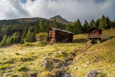 Grossglockner yakınlarında Avusturya Alplerinde kayalık dağlarla çevrili Meadow Hill..