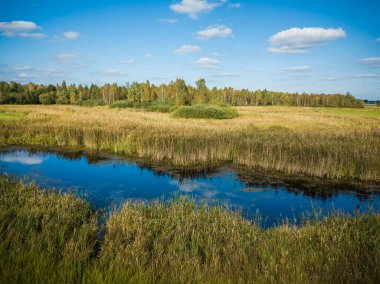 Polonya Podlasie 'sinde Biebrza ile manzara
