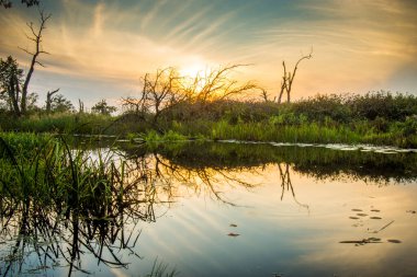 Polonya 'da gün batımında Biebrza Ulusal Parkı